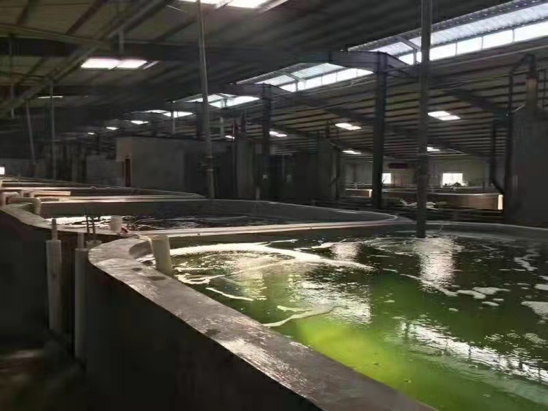 水产养殖场现场 (3).jpg