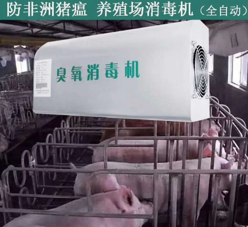 1638411855686662.png image.png